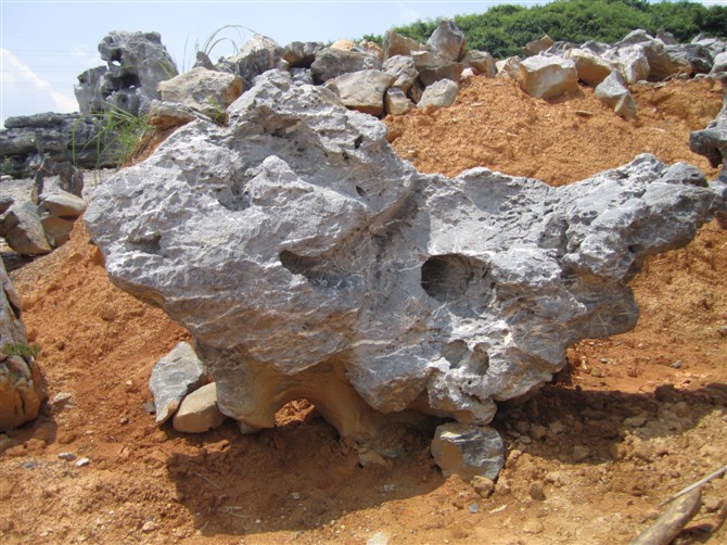 供应广东太湖石,太湖石产地批发,太湖石假山制作