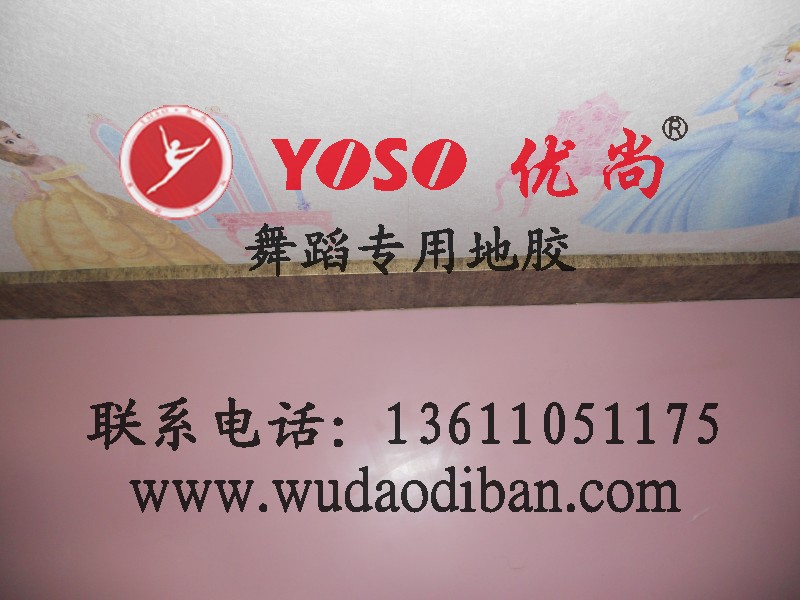 舞台专业地板有几个品牌 北京福莱尔舞蹈地板科技有限公司高清图片