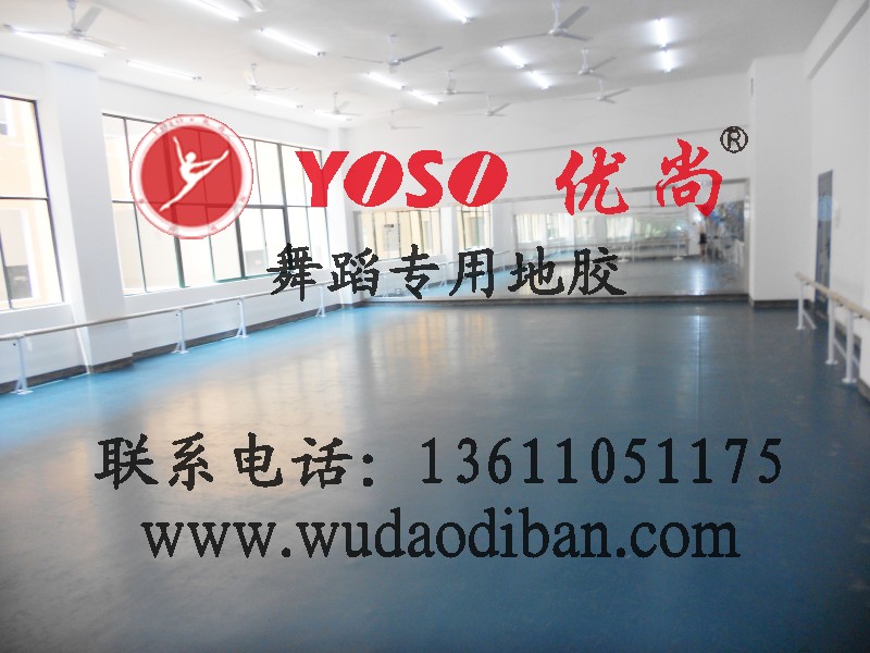 舞台专业地板有几个品牌 北京福莱尔舞蹈地板科技有限公司高清图片