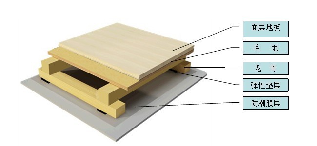 GALLOP运动木地板东北一级枫木面板 -【效果图，产品图，型号图，工程图】-中国建材网