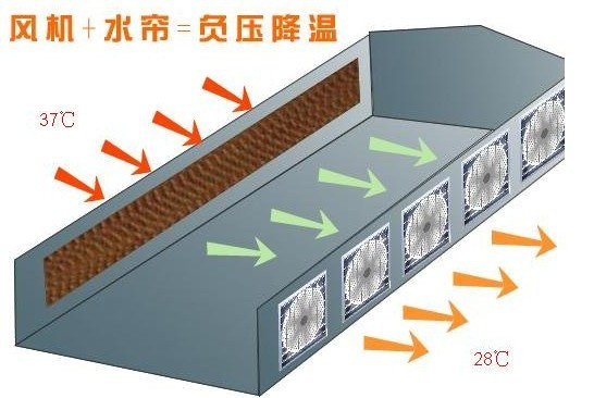 供应佛山伟森wusun1380型负压风机