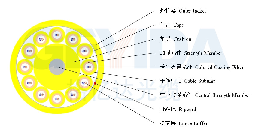 室内24芯单模密集型分支光缆gjbfjh24b13