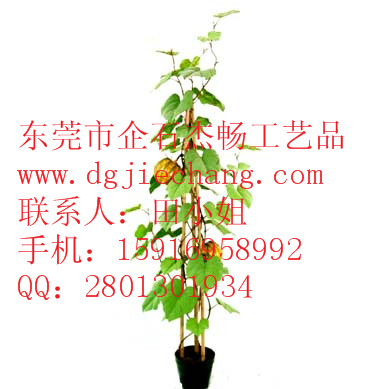 供应模仿植物 模仿植物成批出售 模仿植物公司