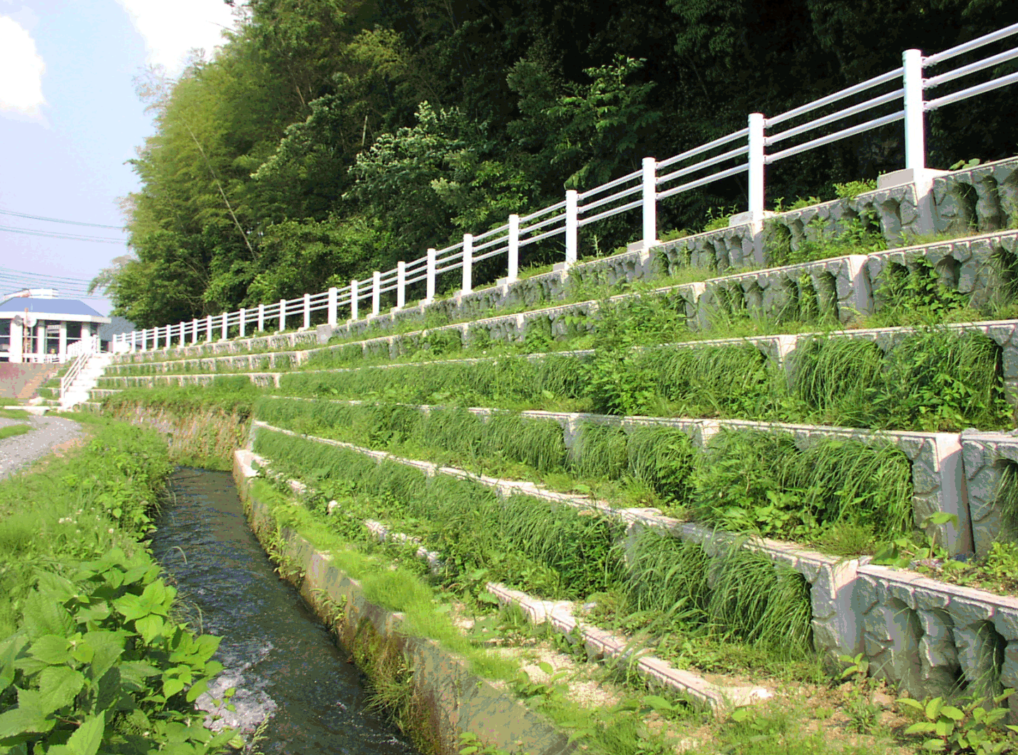 生态护坡构件,生态挡墙