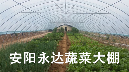 供应在河南洛阳建造蔬菜大棚有啥要求条件?