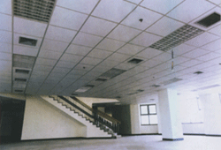 Ӧǲȼް塾ҡ