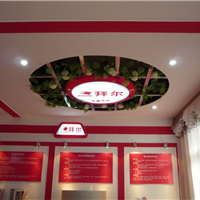 Ӧݶʯ弯ϵͳ