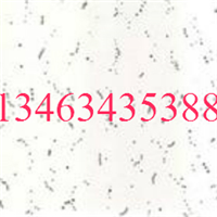 Ӧһ֡۸ 