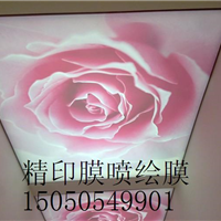 ӦĤ컨  ͸Ĥ Ĥ컨