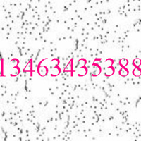 ӦҹӦ컨 ް °