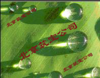 Ӧ԰ʯʯ޼ʯʯ޼