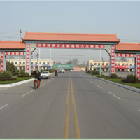 德州市城镇牌坊门/牌楼门,威武的陵县城镇石雕牌楼