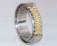  Supply cylindrical roller bearing N318EMA bearing