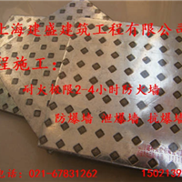 Ӧרҵǽǽʩ
