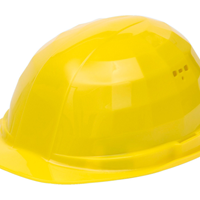  Supply of Wolter electrician safety helmets Wolter helmets