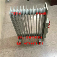 11Ƭ͡ 2kwȡů BDR-2/11YR