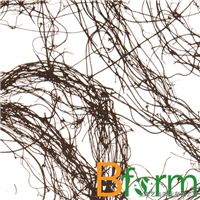 Ӧ3form׼в ưװΰ ưװ
