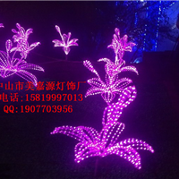  LED stainless steel frame modeling lamp, iron frame rainbow tube modeling lamp