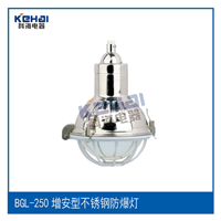  Supply BGL-G250 stainless steel increased safety explosion-proof anti-corrosion lamp