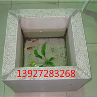  麣͸ǽ 麣ǽ