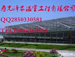 ӦũҴ