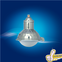  FAD-G stainless steel anti-corrosion lamp Metal halide lamp 250W European standard light source 