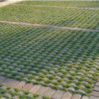 供应全国停车场专项使用植草地坪