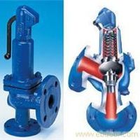  Supply ARI-SAFE Standard/Full Lift Safety Valves