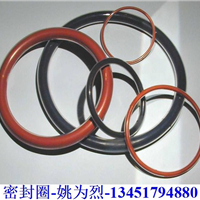  Supply FEP/PFA wrapped seal ring ERIKS