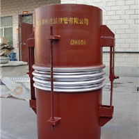 供应铰链型横向万向波纹补偿器丨补偿器