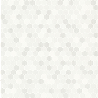 內墻磚—300X450mm XAL34011招商